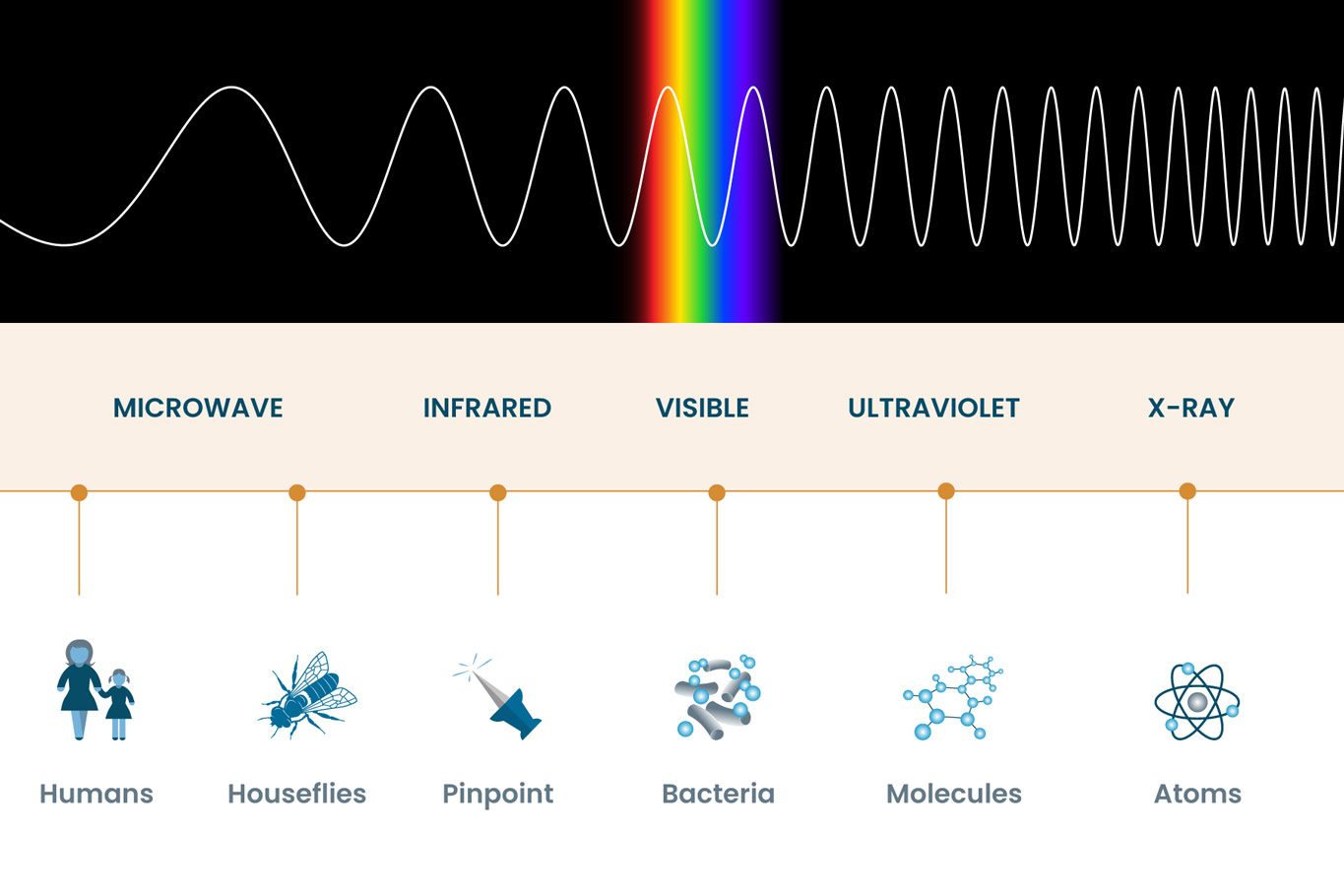 Electromagnetic spectrum - squaredun
